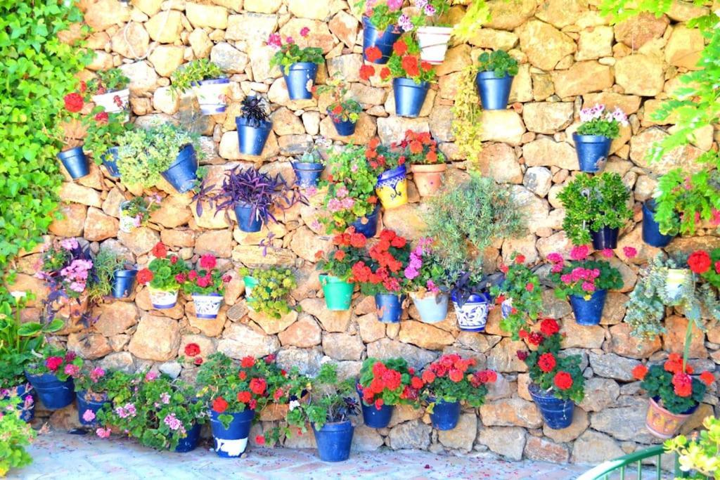 فيلا Casita Tranquila المرية المظهر الخارجي الصورة